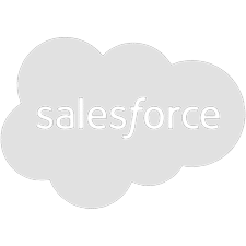 sales-force