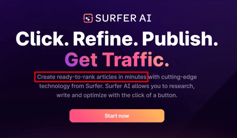 Surfer Review 2024
