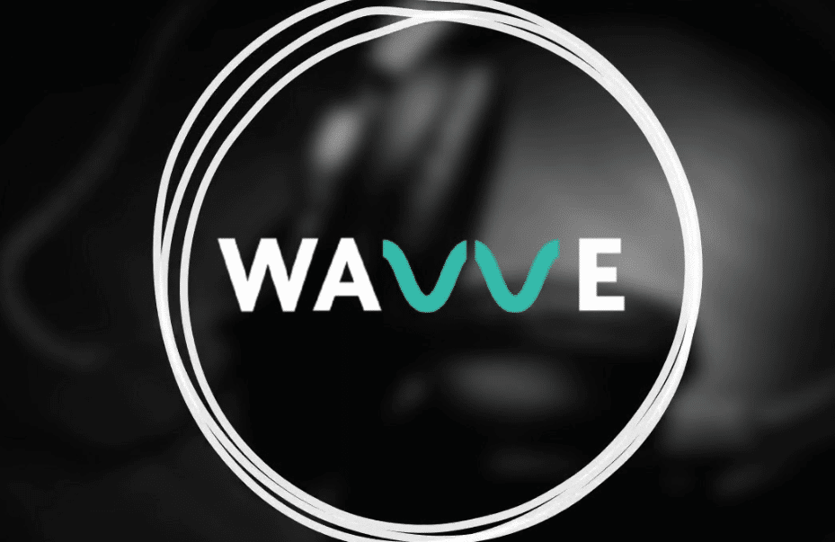 Wavve Review 2024